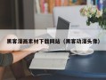 聊城黑客漫画素材下载网站（黑客动漫头像）