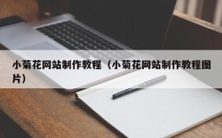聊城小菊花网站制作教程（小菊花网站制作教程图片）