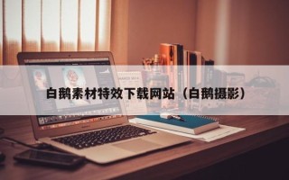 聊城白鹅素材特效下载网站（白鹅摄影）